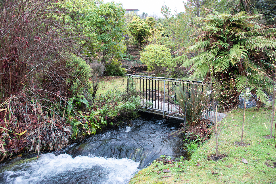 Stream behind the apartments.